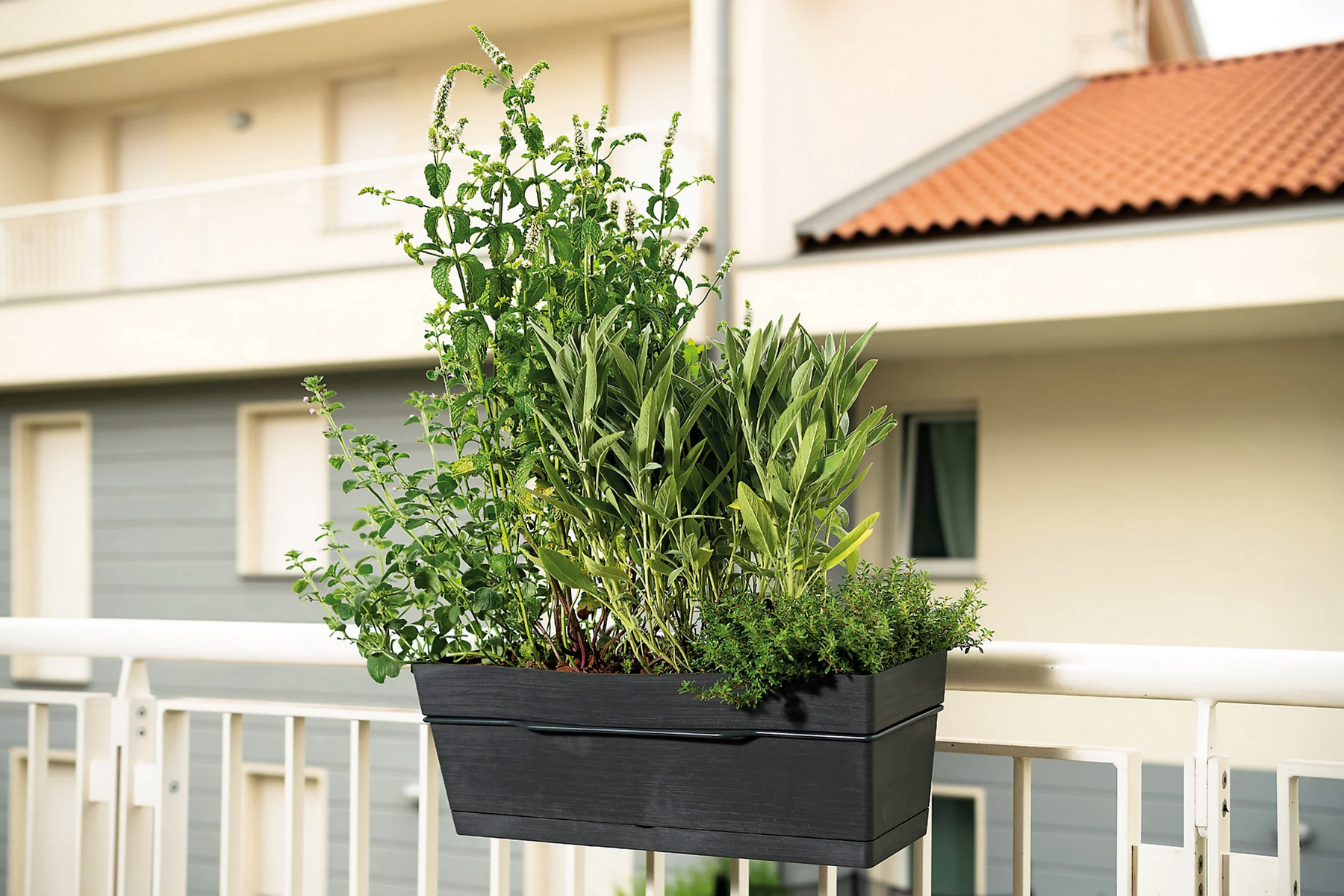 KIT BALCONETTA/CASSETTA SAVE R 49CM ANTRACITE