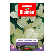 SEMI LUNARIA MONETA DEL PAPA