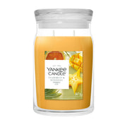 Candela Starfruit & Sunshine 567g Arancione Yankee Candle