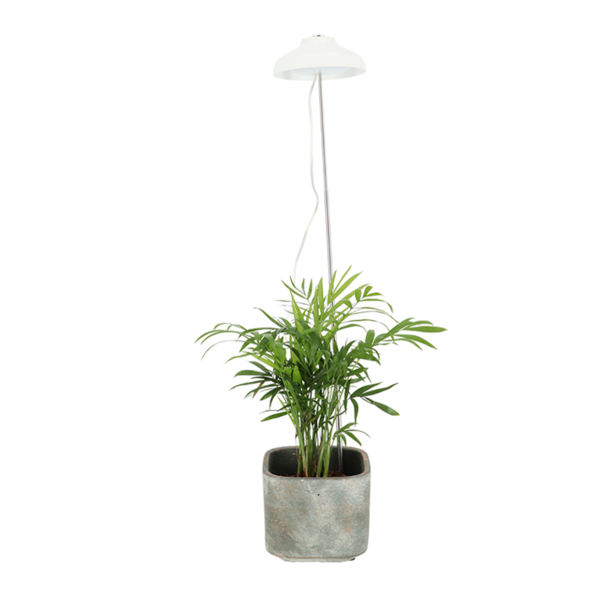 LAMPADA PER CRESCITA PIANTE BIANCA IN ACCIAIO