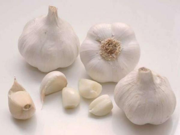 AGLIO BIANCO (CONFEZIONE DA 6 TESTE DA INTERRARE)