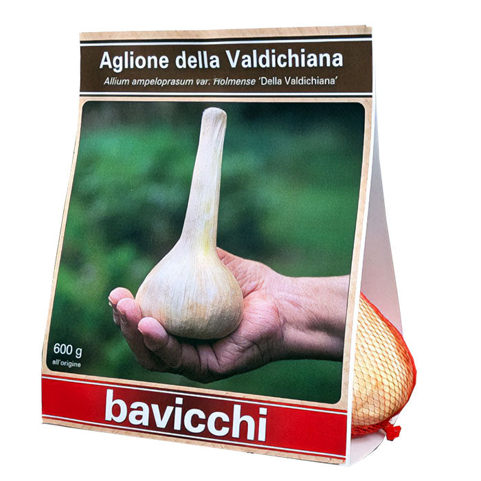 AGLIONE DELLA VALDICHIANA