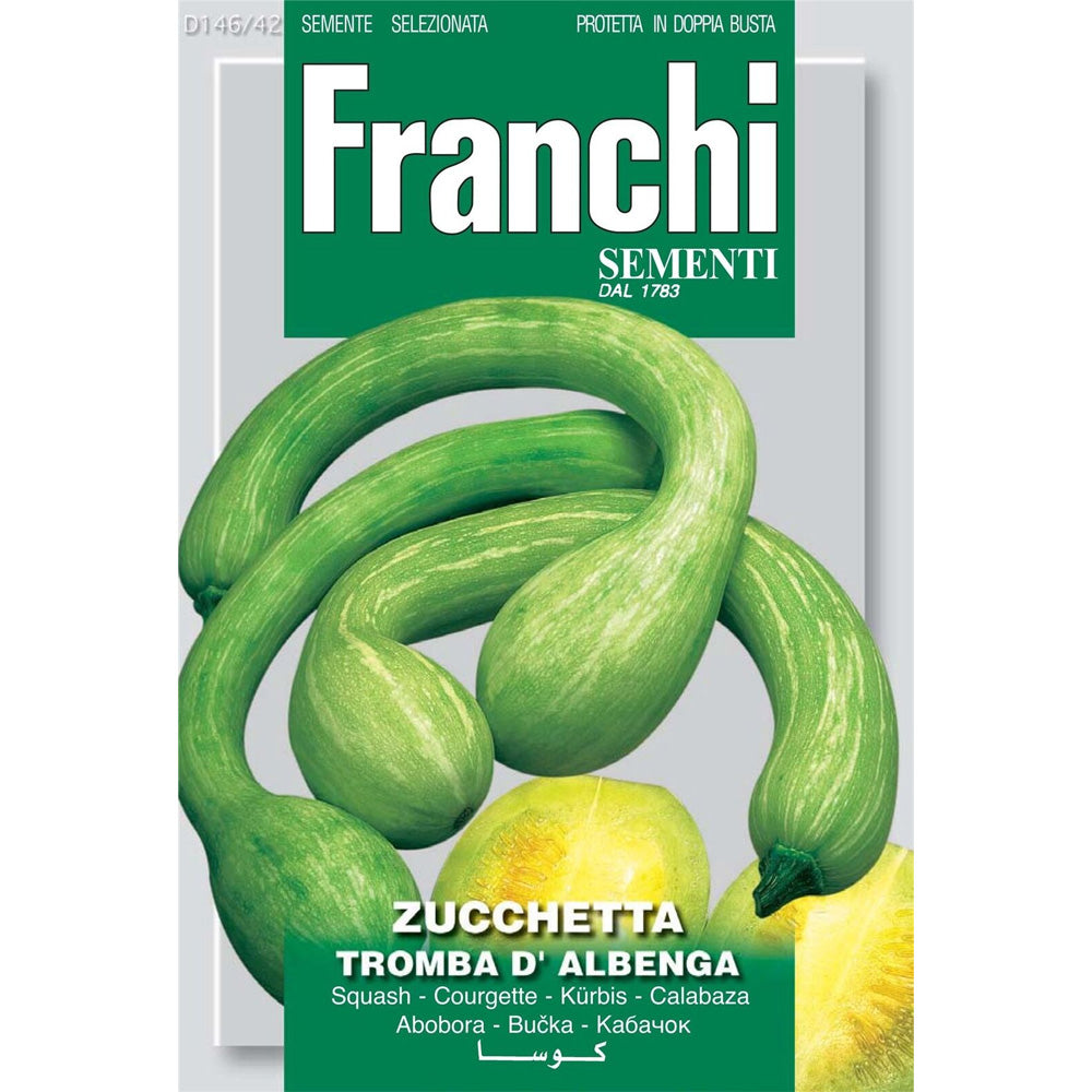 SEMI DI ZUCCHETTA TROMBA D' ALBENGA