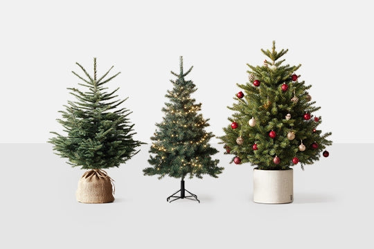 Alberi di Natale