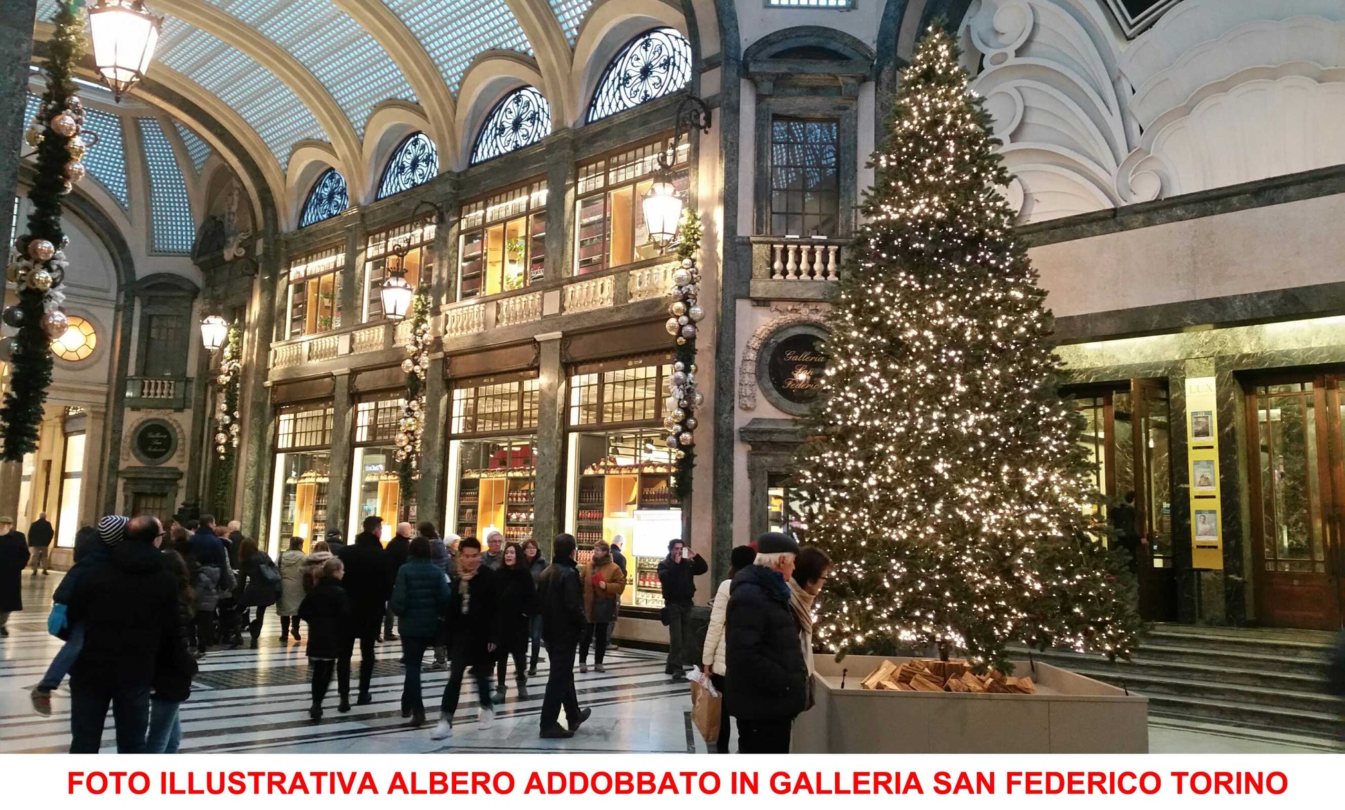 ALBERO DI NATALE ABETE CON PIGNE 480CM