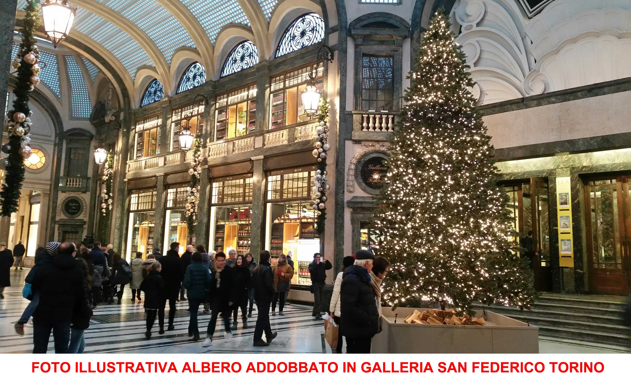 ALBERO DI NATALE ABETE CON PIGNE 480CM