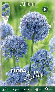 BULBI ALLIUM CAERULEUM (CONFEZIONE 20 BULBI)