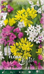 BULBI ALLIUM MIX (CONFEZIONE DA 30 BULBI)