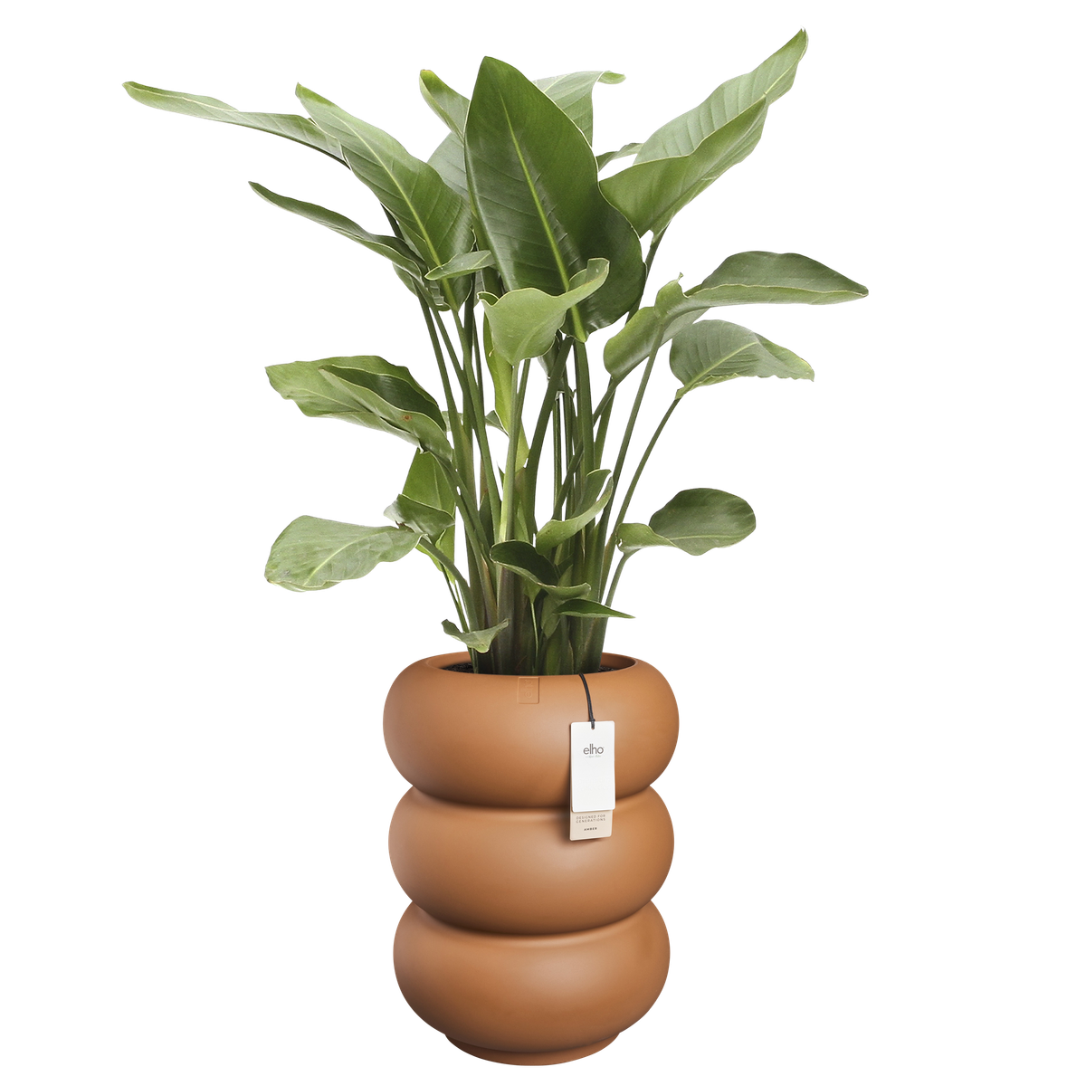 Vaso Amber Roll High D 43 x H 58 cm Caramel ELHO