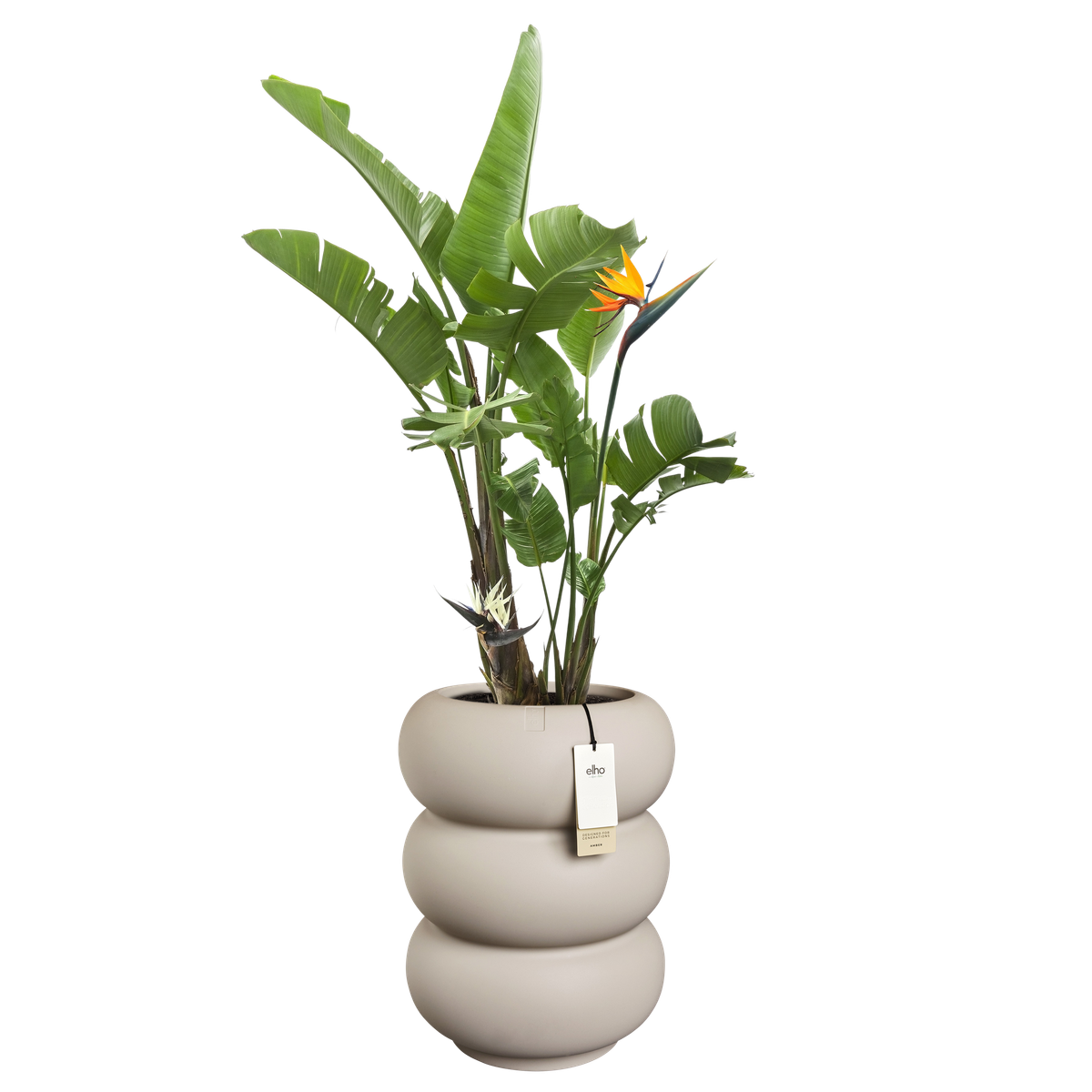 Vaso Amber Roll High D 43 x h 58 cm beige ELHO