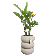 Vaso Amber Roll High D 43 x h 58 cm beige ELHO