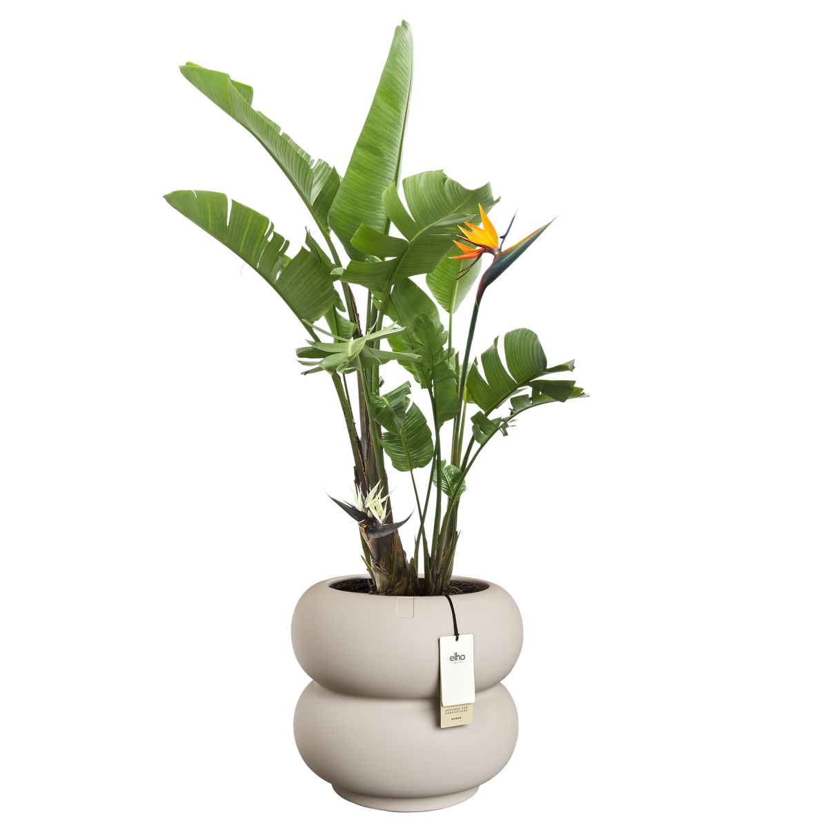 Vaso Amber Roll Low D 43 x H 40 cm Beige ELHO