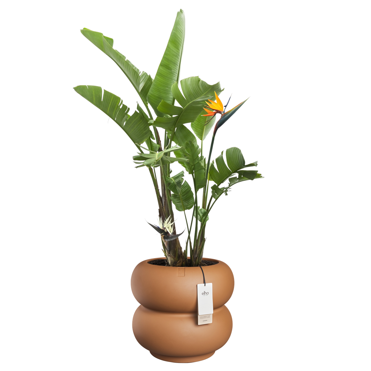 Vaso Amber Roll Low D 43 x H 40 cm Caramello ELHO