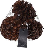 3 PIGNE NATURALI 14CM