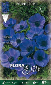 BULBI ANEMONE CORONARIA MR. FOKKER (CONFEZIONE 20 BULBI)