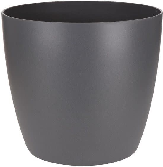 MIX 4 PIANTE PURIFICATRICI DELL'ARIA VASO 14CM + 4 COPRIVASO ANTRACITE