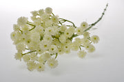 STELO DECORATIVO GYPSOPHILA CREMA 65CM