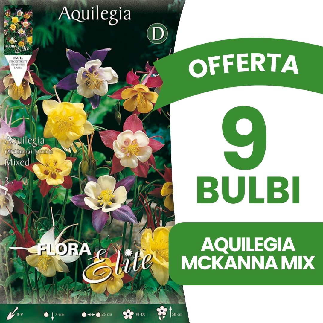 OFFERTA 9 BULBI AQUILEGIA MCKANNA IN MIX DI COLORI