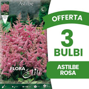 OFFERTA 3 BULBI ASTILBE ROSA