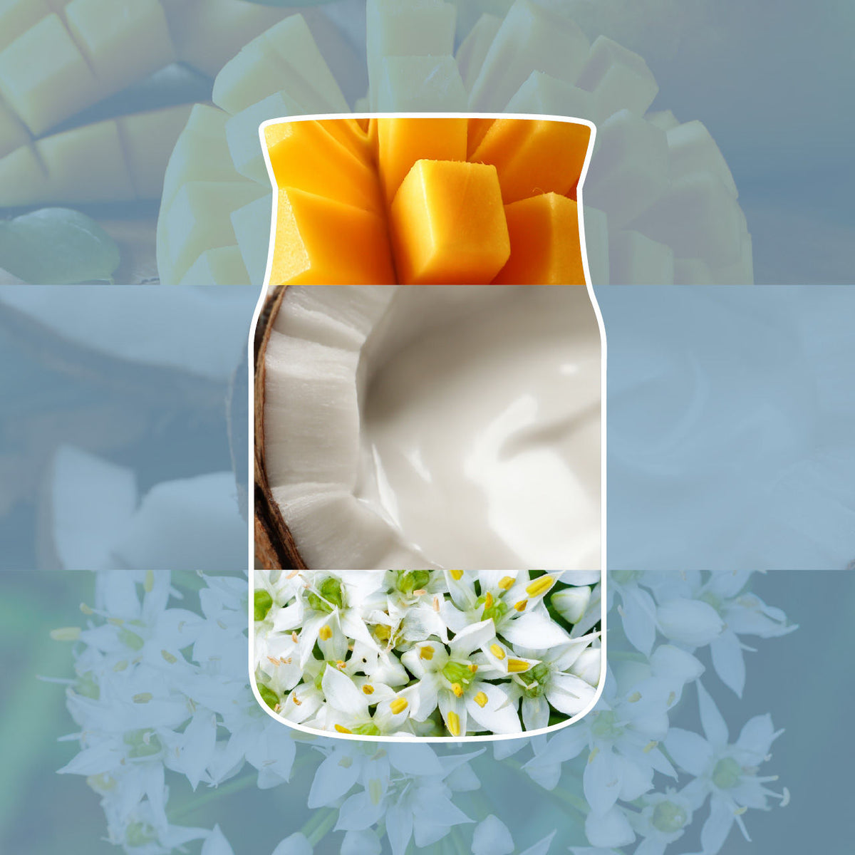Candela profumata in giara grande al cocco salato 567g YANKEE CANDLE - immagine 2