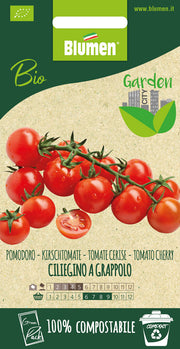SEMI DI POMODORO CILIEGINO GREENPACK