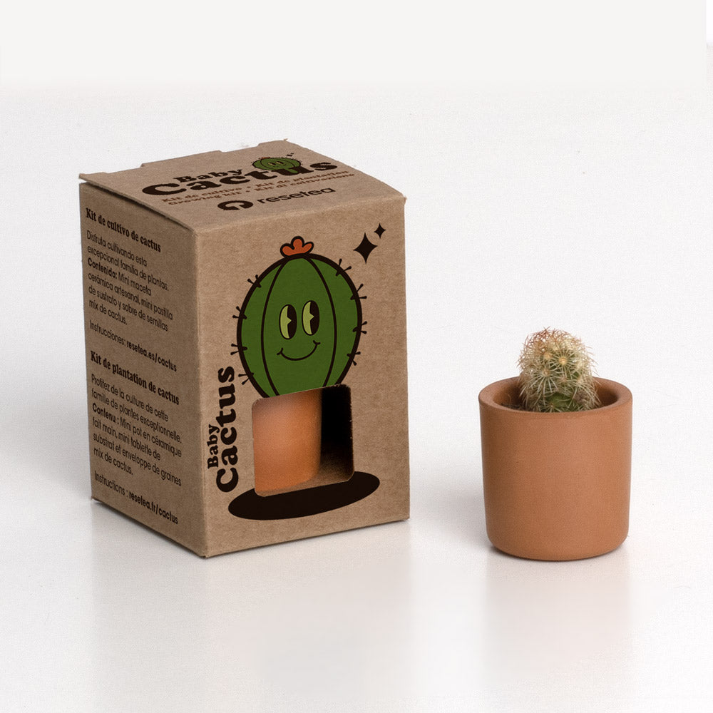 BABY CACTUS
