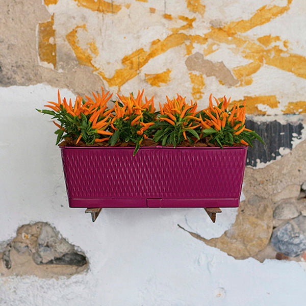 BALCONETTA LIBERTY 50CM COLORE A SCELTA