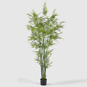 BAMBOO ARTIFICIALE CON VASO H210CM VERDE
