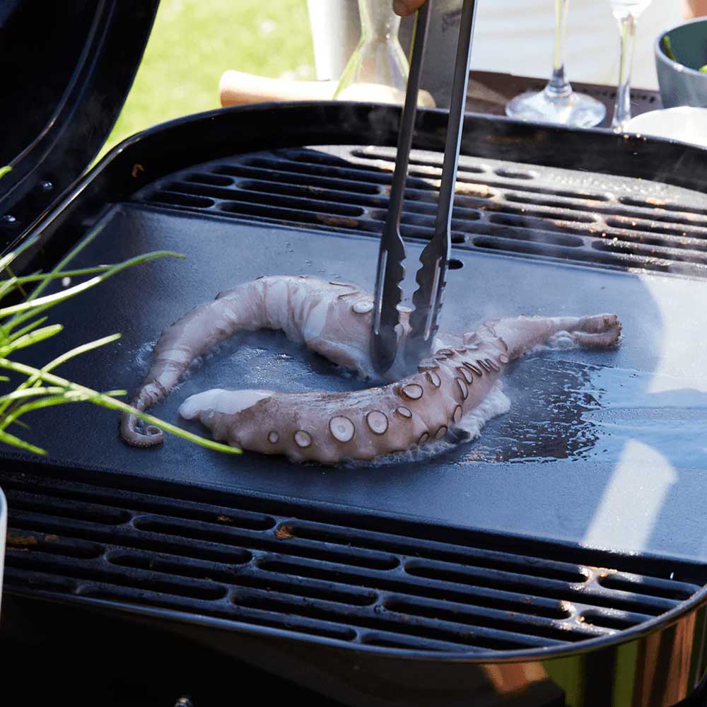 BARBECUE A CARBONELLA MAGNUS PREMIUM