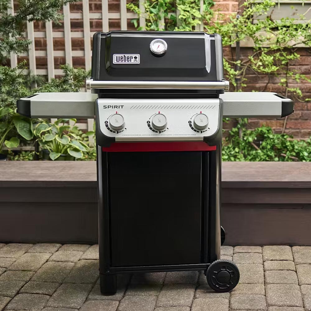 BARBECUE A GAS SPIRIT E310