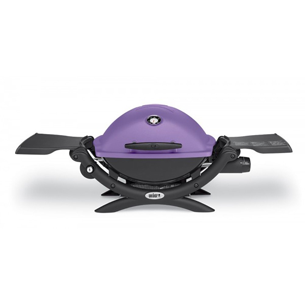 BARBECUE À GAZ WEBER Q 1200