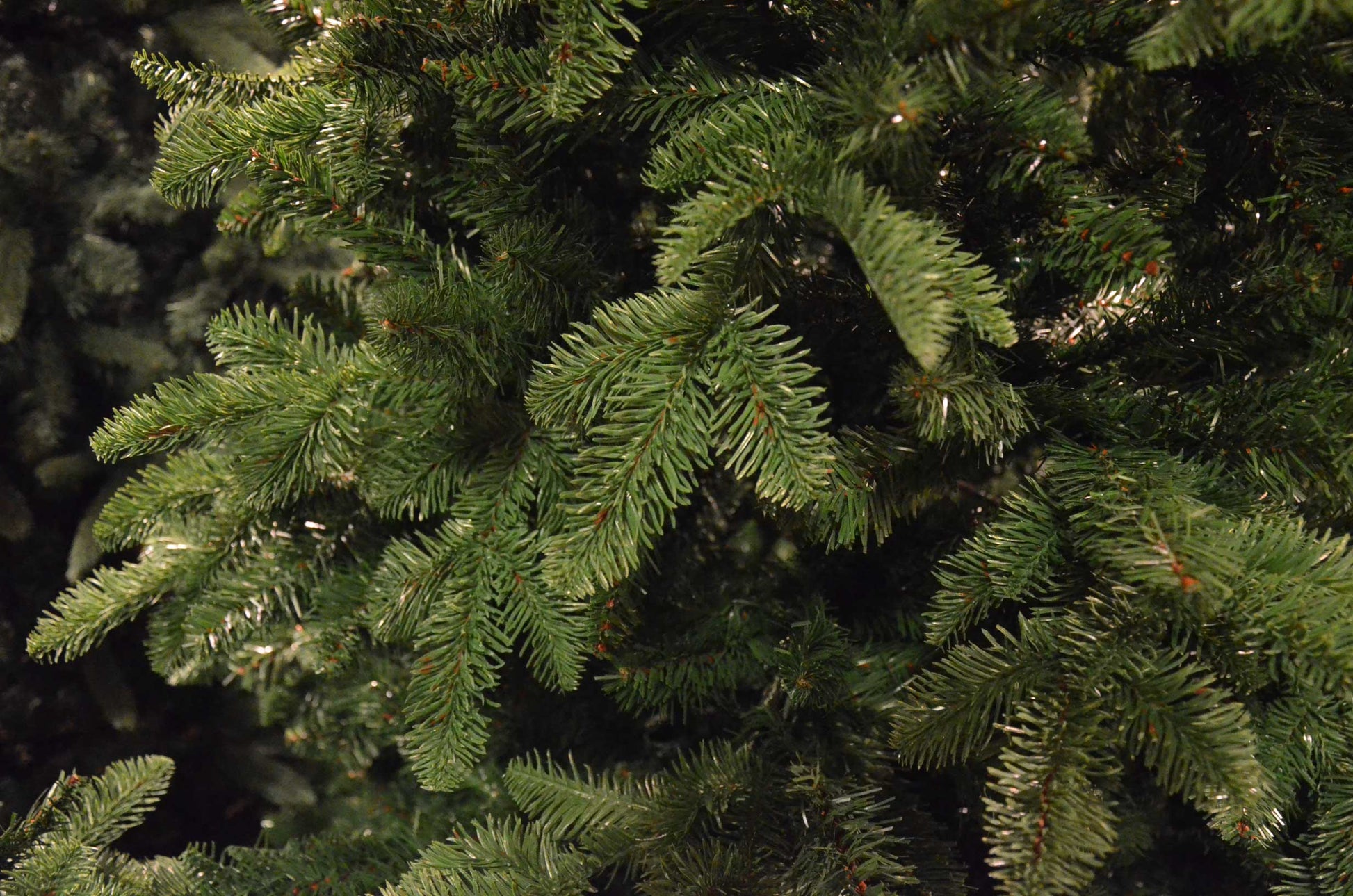 ALBERO DI NATALE BAVARESE 180CM VERDE SCURO