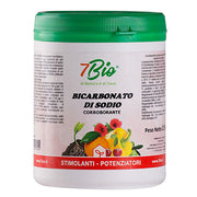 CORROBORANTE IN POLVERE BICARBONATO DI SODIO 500 GR