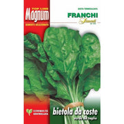 SEMI DI BIETOLA DA COSTE VERDE DA TAGLIO