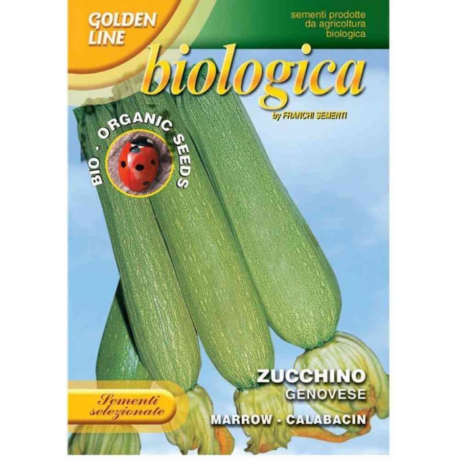 SEMI ZUCCHINO GENOVESE BIO