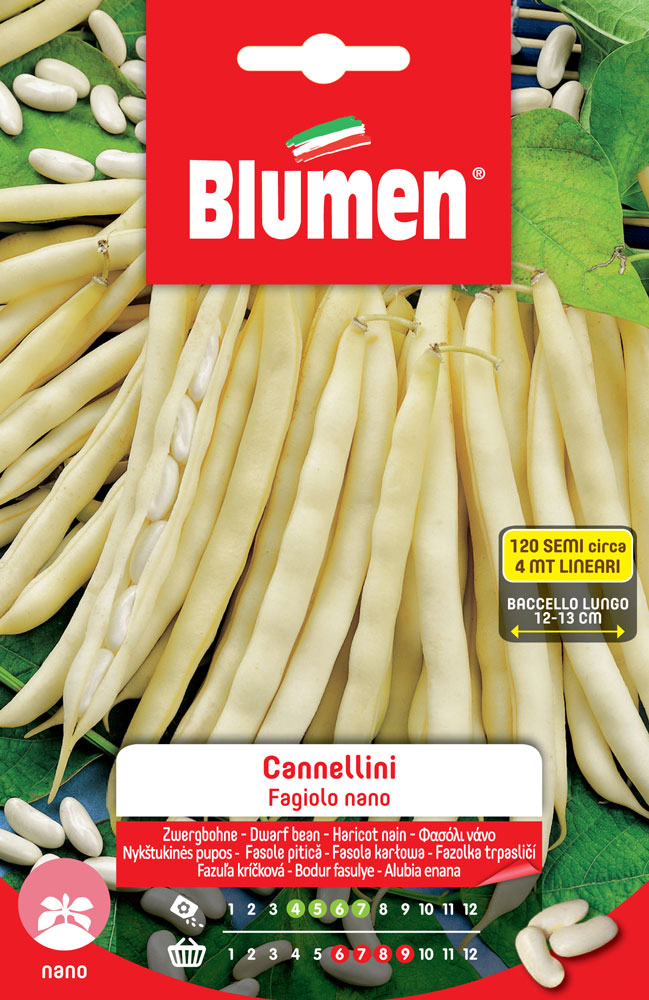 SEMI DI FAGIOLI CANNELLINI NANI