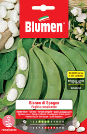 SEMI DI FAGIOLI RAMPICANTI BIANCO DI SPAGNA