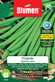 SEMI DI FAGIOLINI NANI FRIVERDE