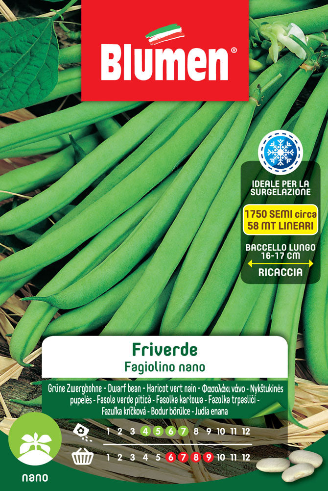 SEMI DI FAGIOLINI NANI FRIVERDE
