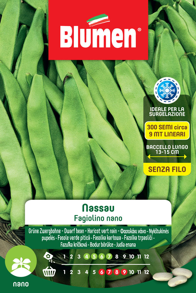 SEMI DI FAGIOLINI NANI NASSAU