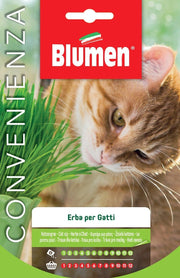 SEMI ERBA GATTA