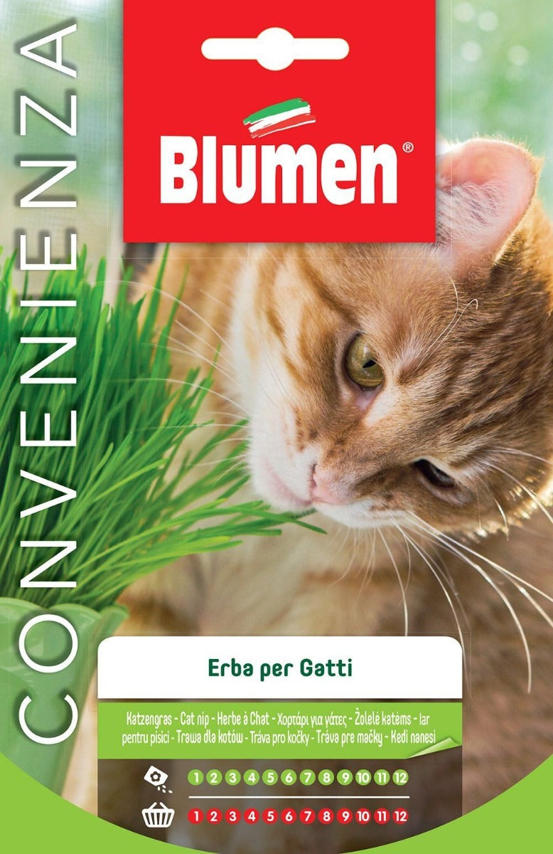 SEMI ERBA GATTA