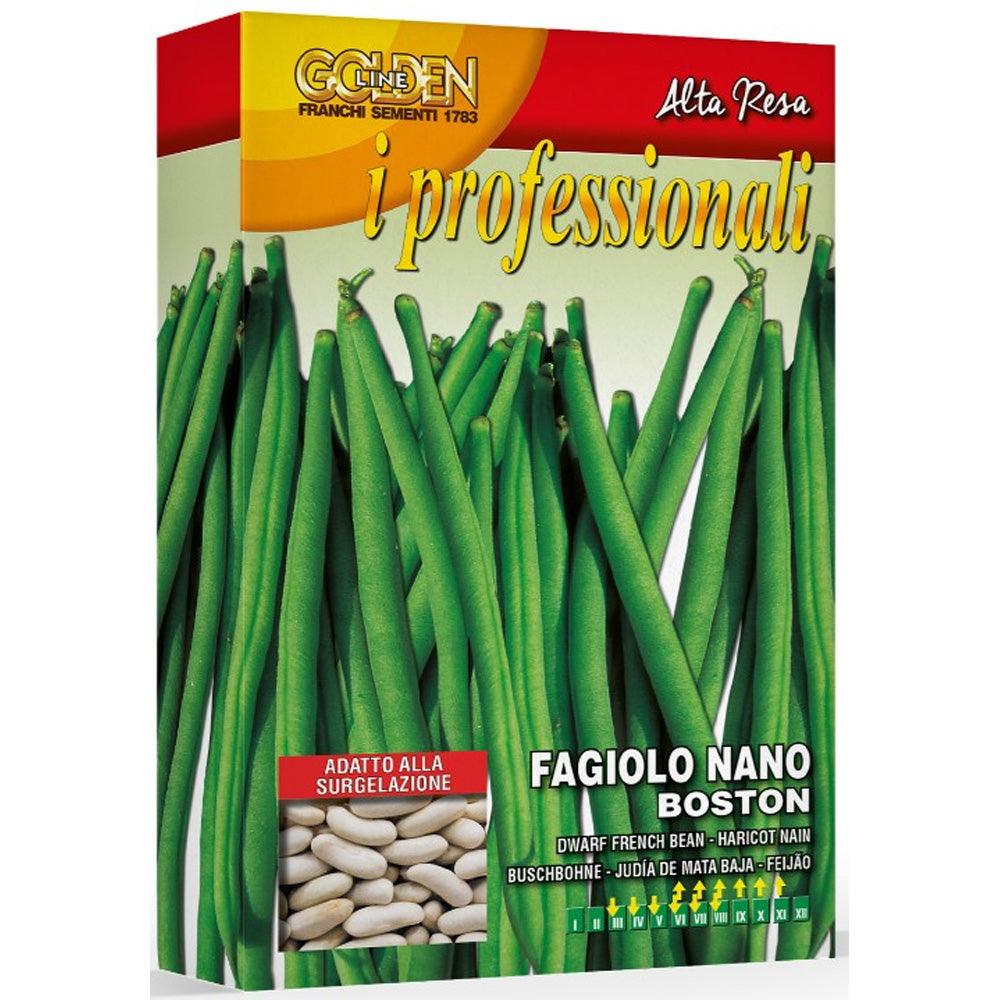SEMI DI FAGIOLO NANO BOSTON 200GR.