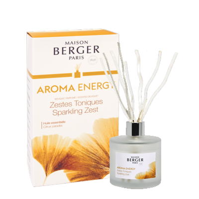 BOUQUET PARFUMÈ AROMA ENERGY ZESTES TONIQUES LAMPE BERGER