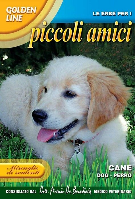 SEMI MISCUGLIO ERBA PER CANI PICCOLI AMICI