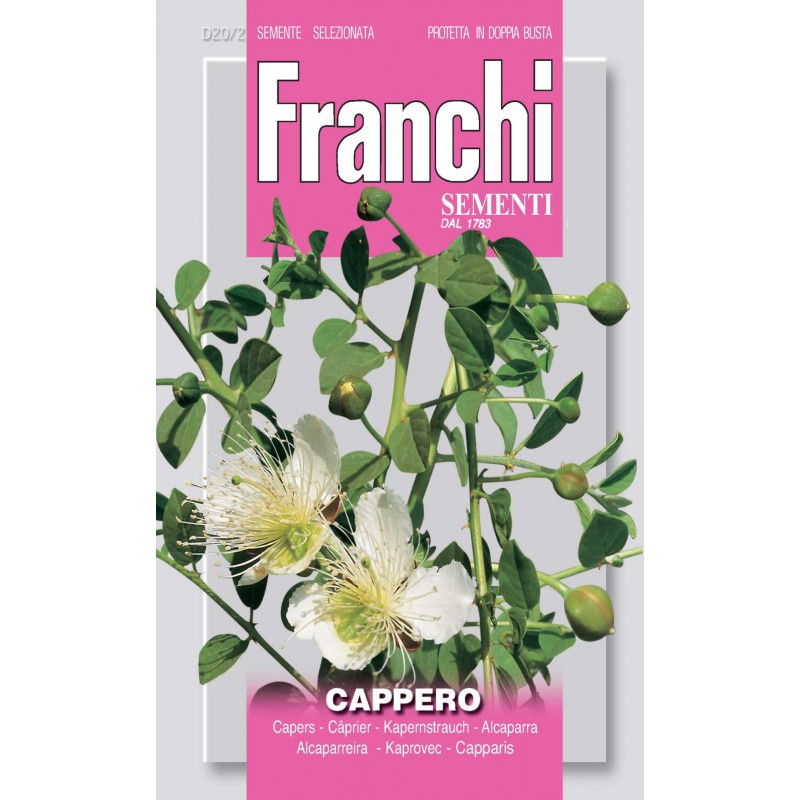 BUSTINA SEMI DI CAPPERO