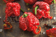 3 PIANTE DI PEPERONCINO PICCANTE CAROLINA REAPER (IN VASO Ø 10CM)