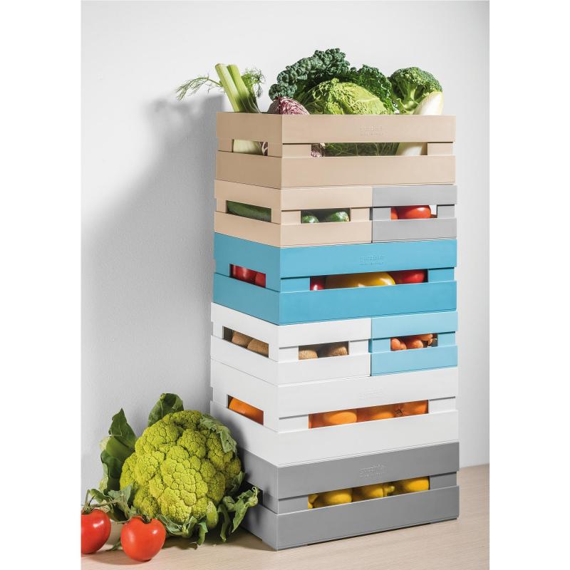 CASSETTE GRANDI XL TIDY E STORE COLORE A SCELTA