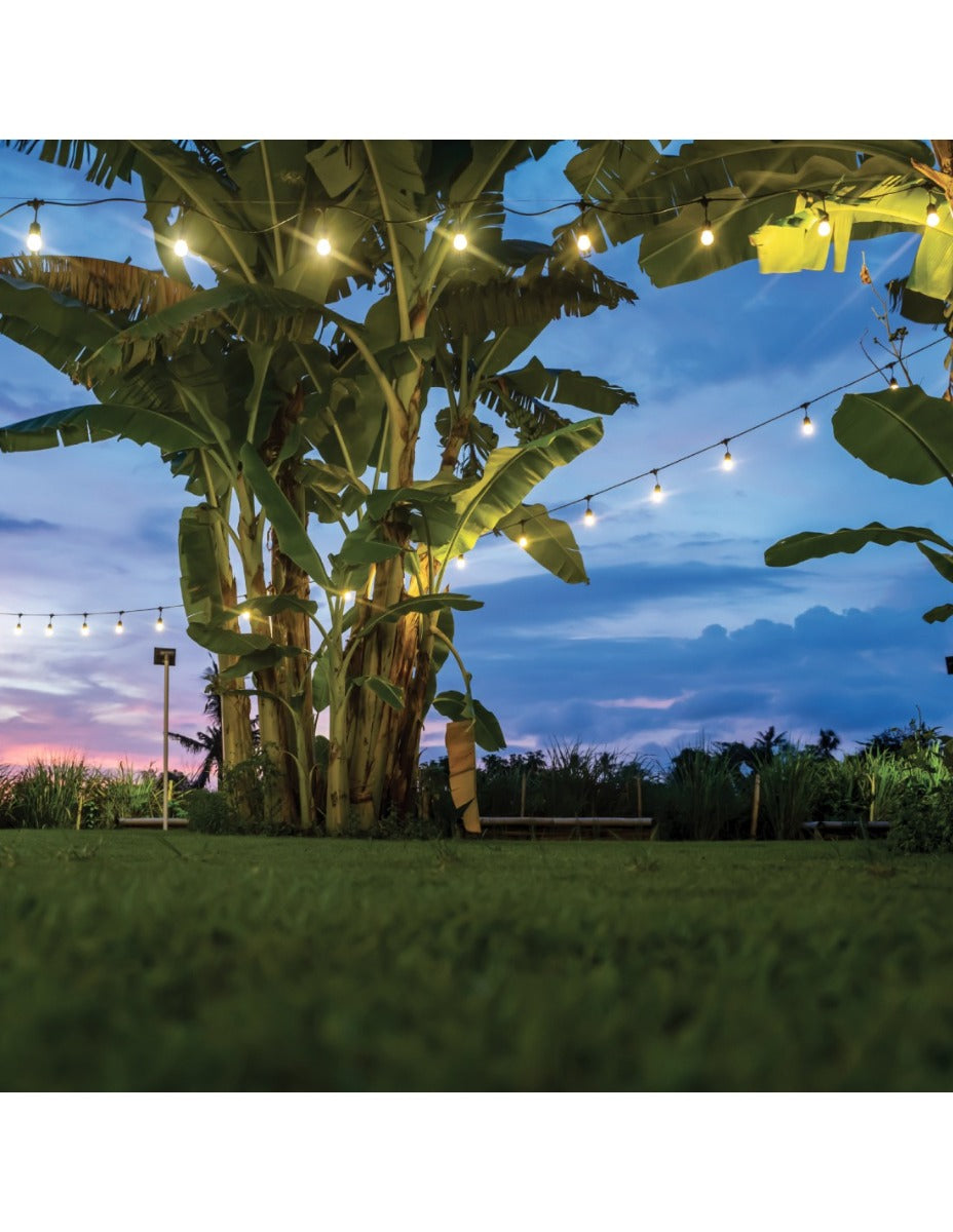 CATENA LUMINOSA SOARE CON 10 LAMPADINE LED 8 METRI
