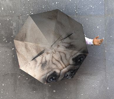 OMBRELLO CON IMMAGINE CANE